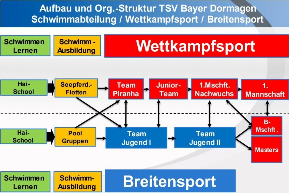 Schwimmgruppenstruktur